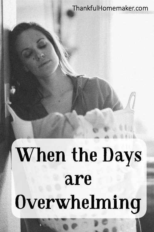 Sharing what I shared with my daughter on one of those days that everything seemed to be piling up and the feeling of being overwhelmed was taking over. @mferrell