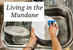 Living in the Mundane