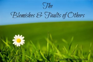 The Blemishes & Faults of Others