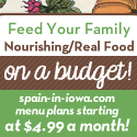 Spain in Iowa's Traditional Menu Plan on A Budget