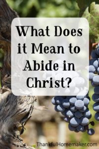 What Does It Mean To Abide In Christ? - Thankful Homemaker