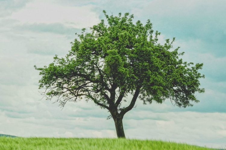 What does it look like to be a mature Christian? @mferrell