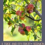 A Tree and Its Fruit (Matthew 7:15-20 - Sermon on the Mount Series)