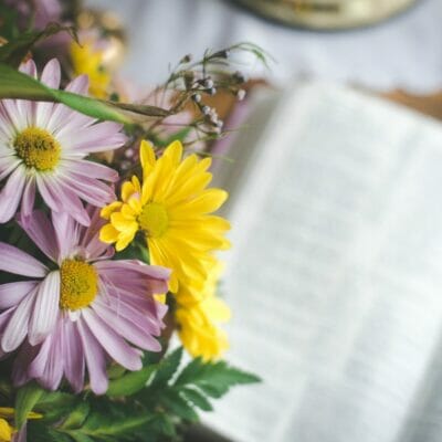 Ingratitude is a sin that fails to acknowledge God as the giver of all things. Gratitude is an attitude that honors God. It acknowledges that He is the giver of all things. @mferrell