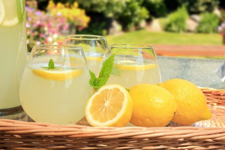 Lemonade is a refreshing treat in the summertime, and now you can enjoy a simple three-ingredient sugar-free option. @thankfulhomemaker