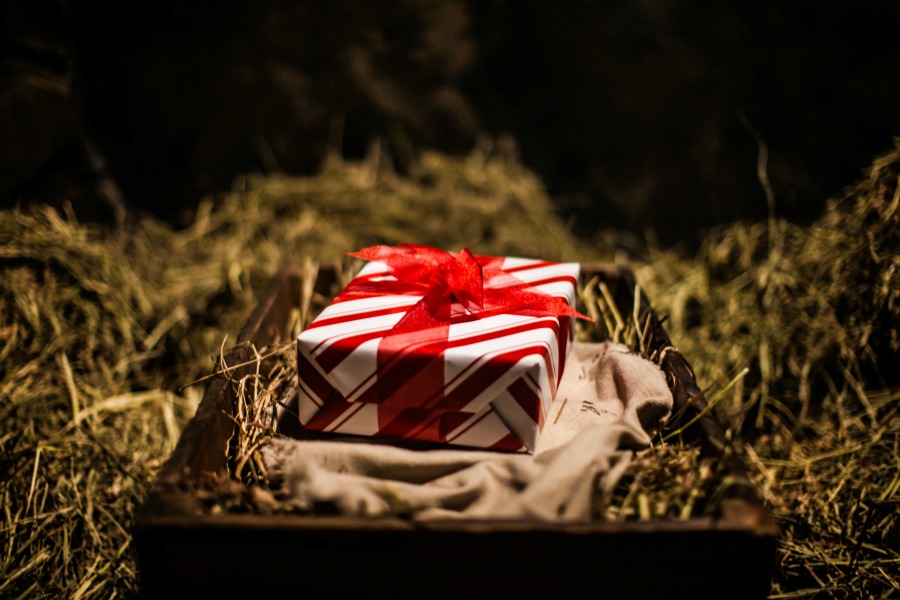 andy at faith: Experiencing Christmas ~ The Best Gift... for Jesus