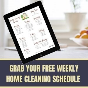 WEEKLY HOME CLEANING SCHEDULE SIDEBAR AD