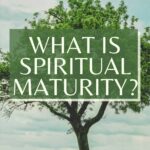 What does it look like to be a mature Christian? #spiritualmaturity #maturechristian #christian #spiritualgrowth #biblereading @thankfulhomemaker