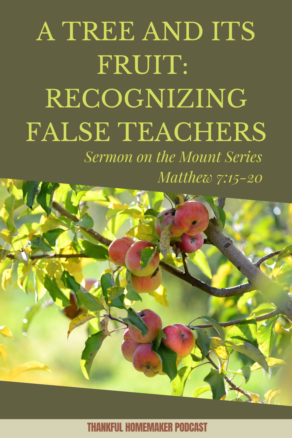 EP 146 A Tree and Its Fruit (Matthew 71520 Sermon on the Mount