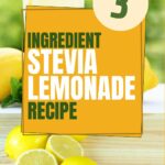 Lemonade is a refreshing treat in the summertime, and now you can enjoy a simple three-ingredient sugar-free option. @thankfulhomemaker